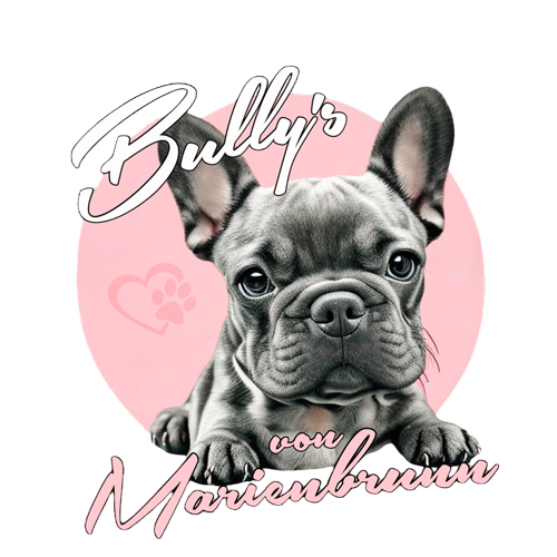 Logo Bullys aus Leipzig - Bullys von Marienbrunn